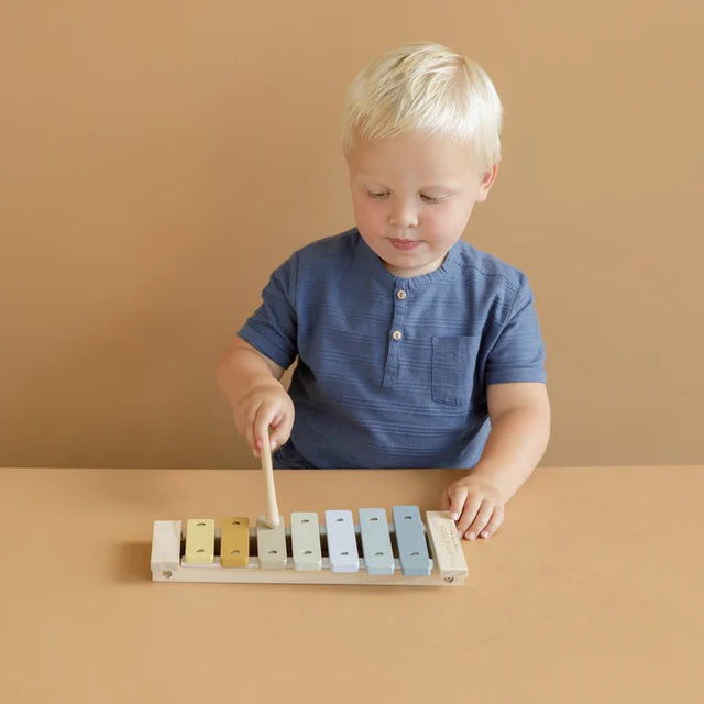Xylophone Bleu