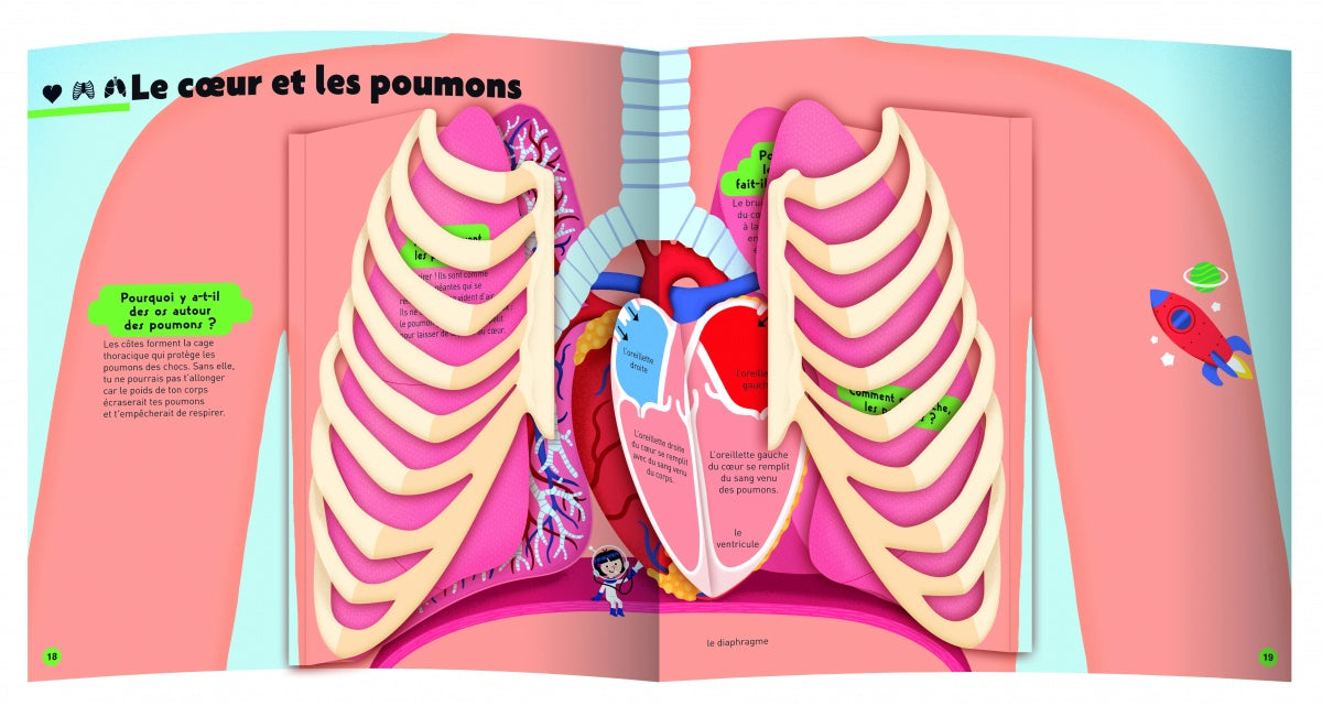 Le grand Kididoc du corps humain - Livre pop-up - dès 4 ans - Nathan