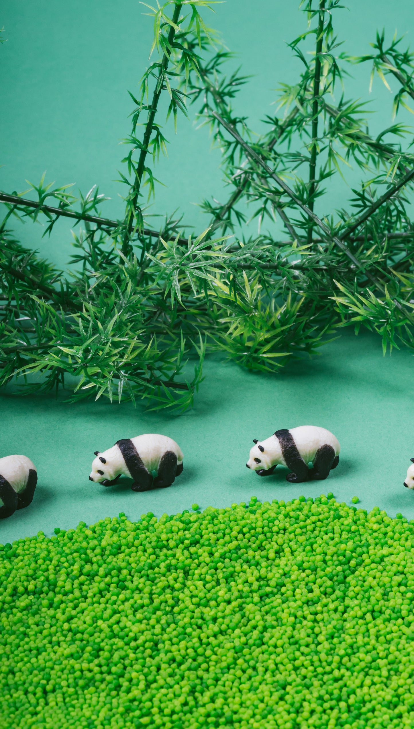 Bouteille sensorielle #Panda