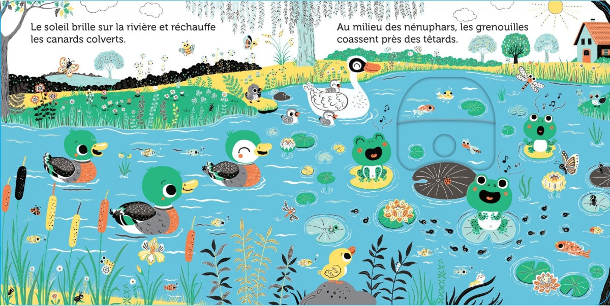 Promenade au bord de la rivière - livre d'éveil animé, pour les bébés dès 6 mois - Nathan