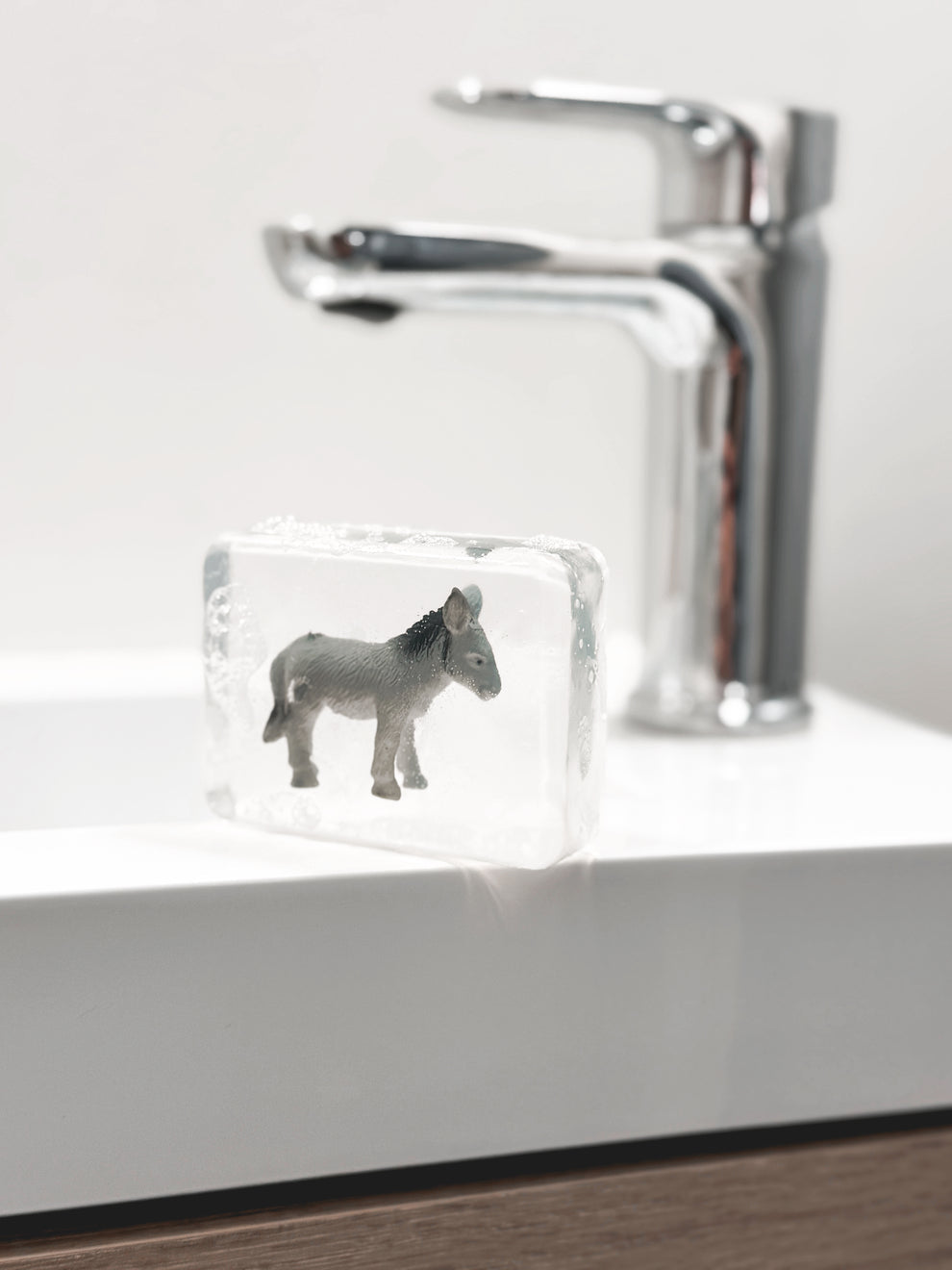 Savon Ane - Ludi Soap