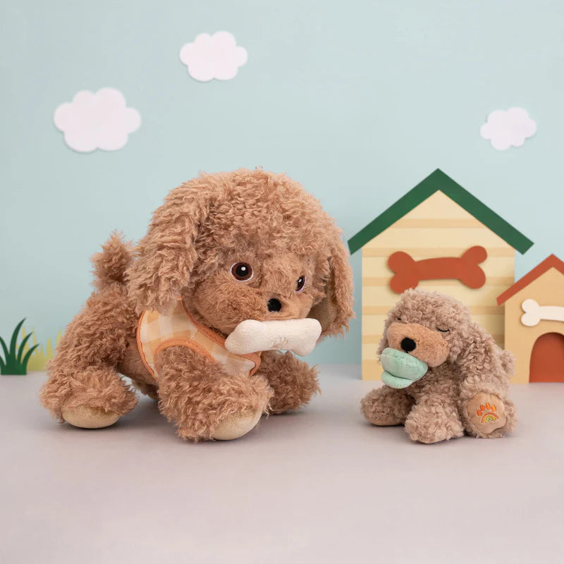Chiot - Olli Ella - Binky Puppy Benny