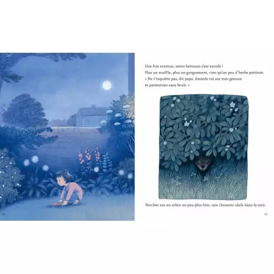 La nuit du hérisson