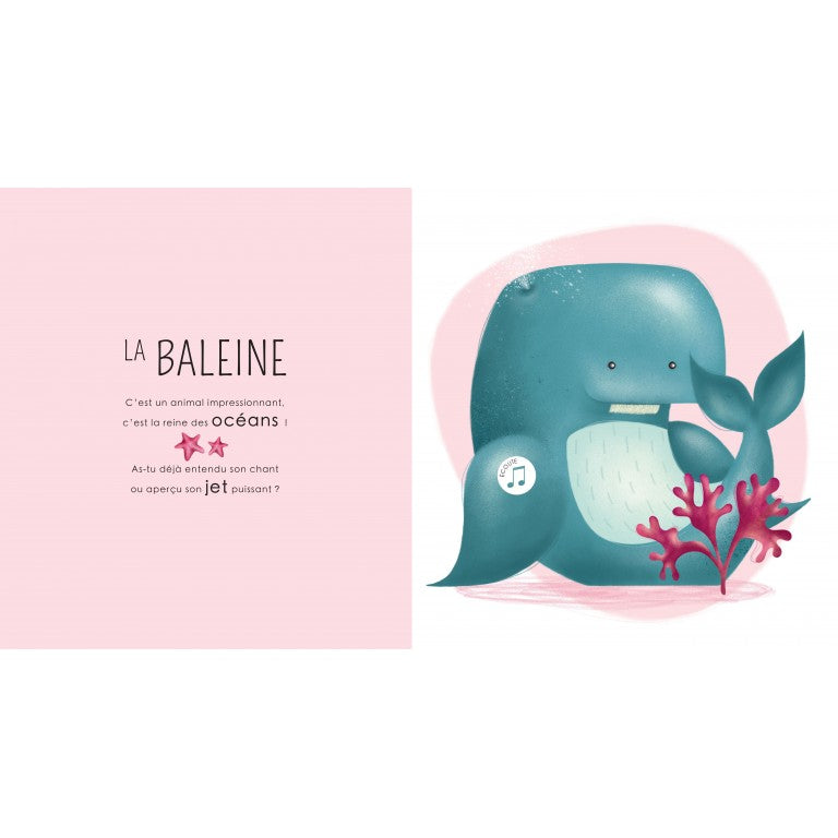 Les petits habitants de la #Mer