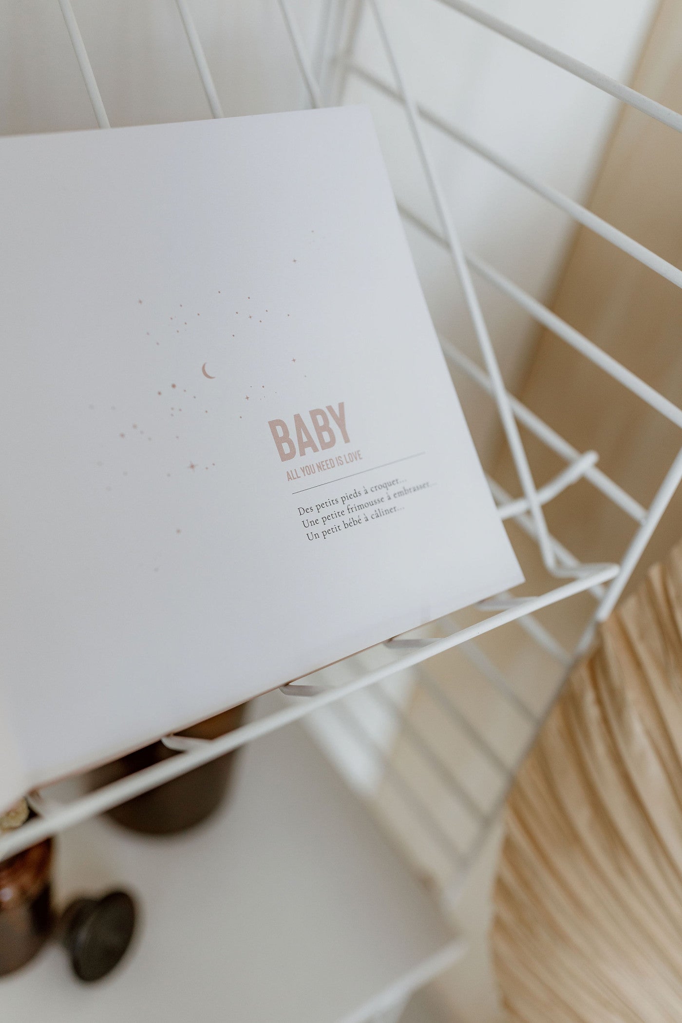 Livre de naissance #Céleste Neige Tome 2