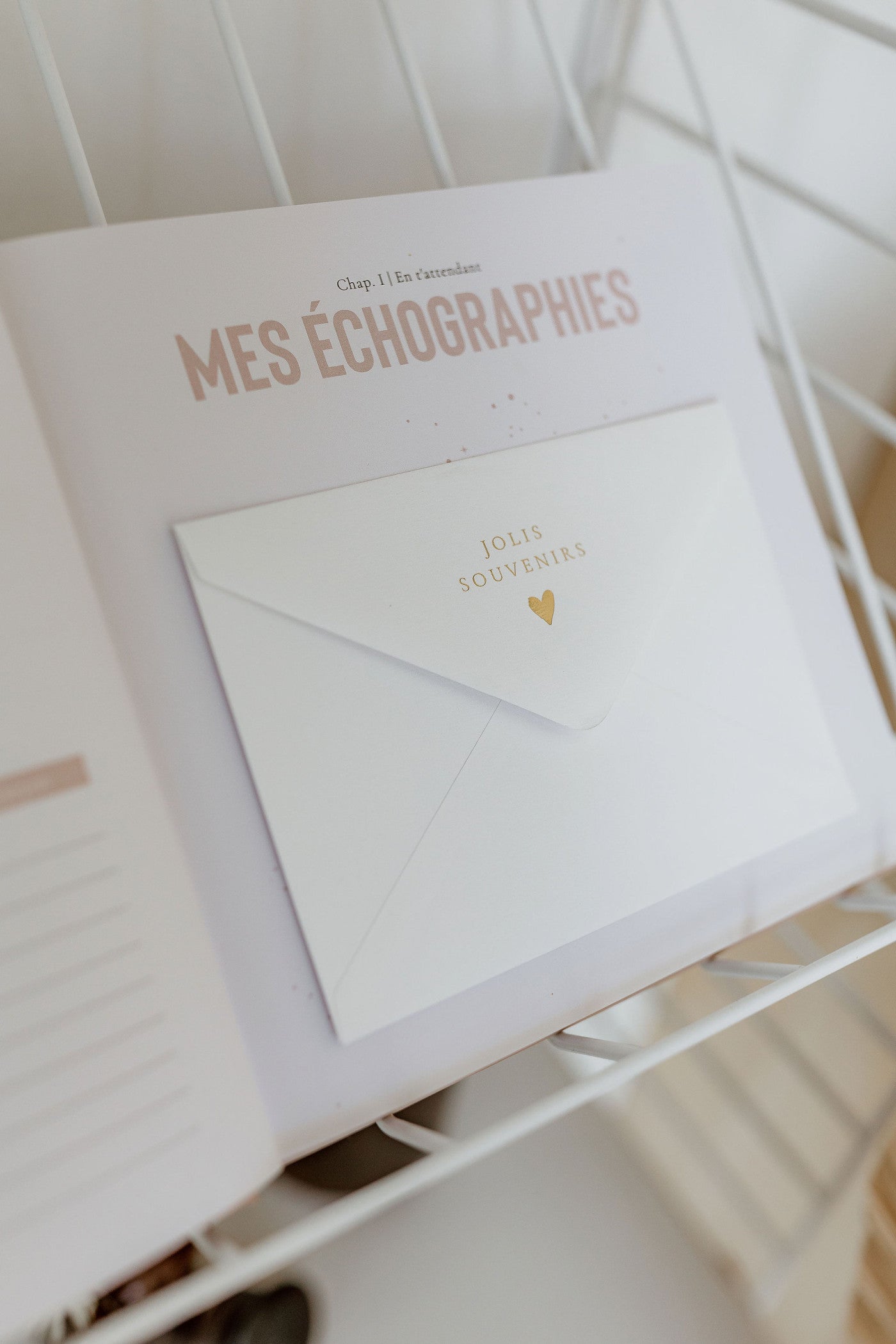 Livre de naissance Céleste #Lichen