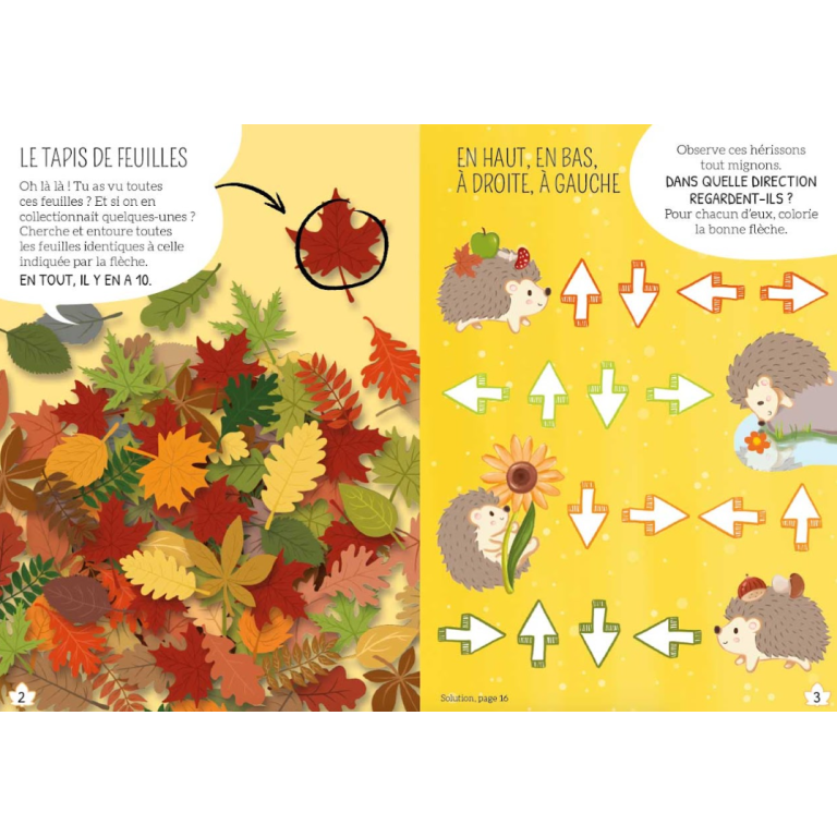 Mille Feuille- Mes premiers jeu de logique - Jeu de société Sassi