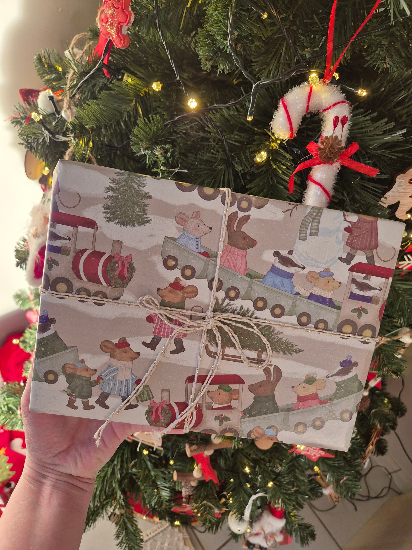 Emballage Cadeau de Noël (x1)