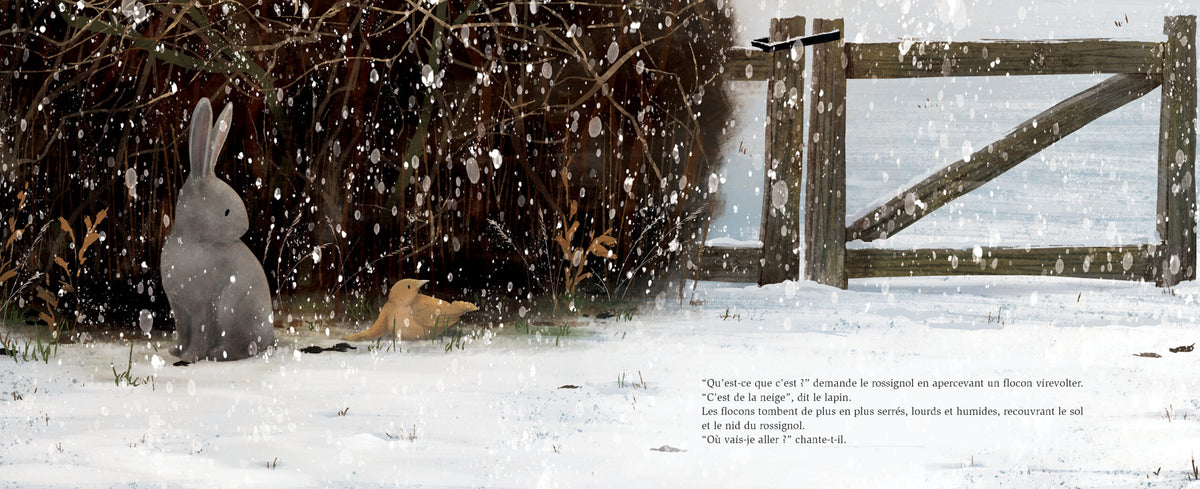 L’oiseau de l’hiver - 123 Soleil