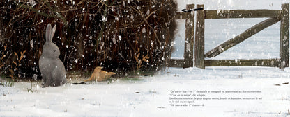 L’oiseau de l’hiver - 123 Soleil