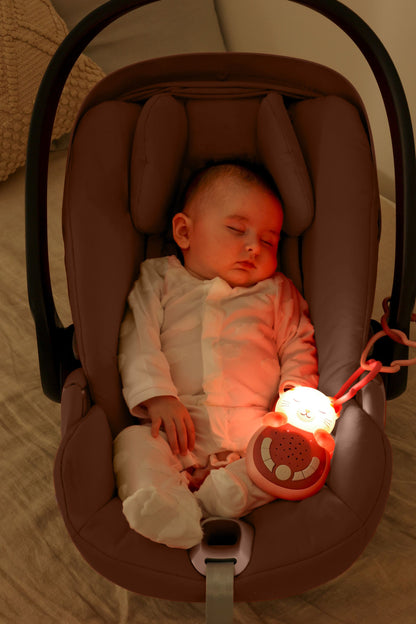 Sweet Dreamz on the go - Chat Rose - Cloud.b