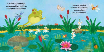 La petite Grenouille - Cycle naturel - 123 soleil