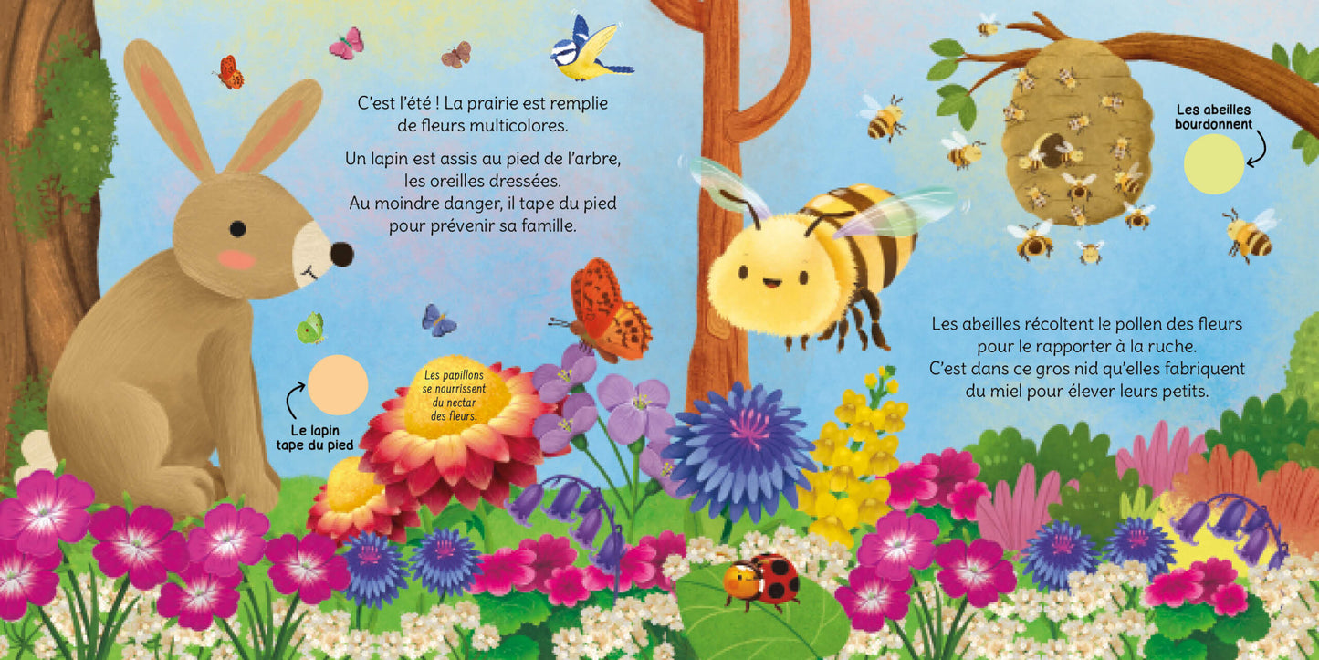 Écoute la nature- Cycle naturel - 123 soleil