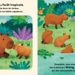 Le petit capybara - Cycles Naturels - 123 Soleil