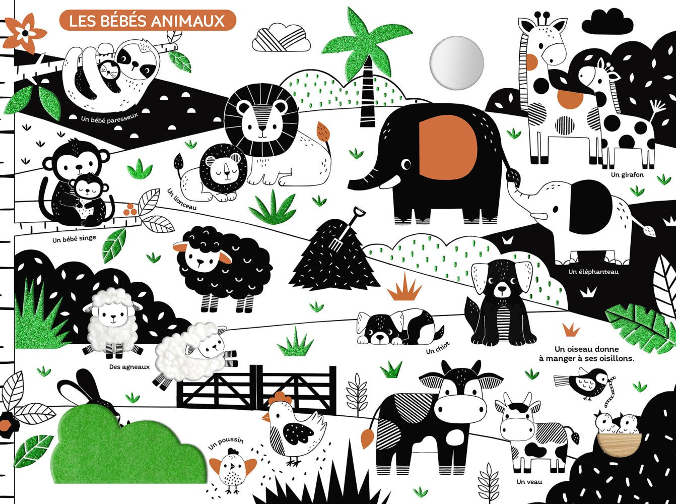 Mon très grand livre d'éveil en noir et blanc -  Auzou