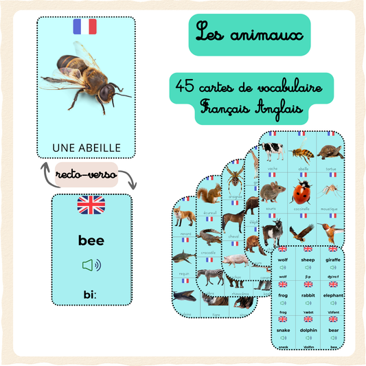 Cartes Vocabulaire en Français / Anglais  Animaux -  Les lots d'Elo