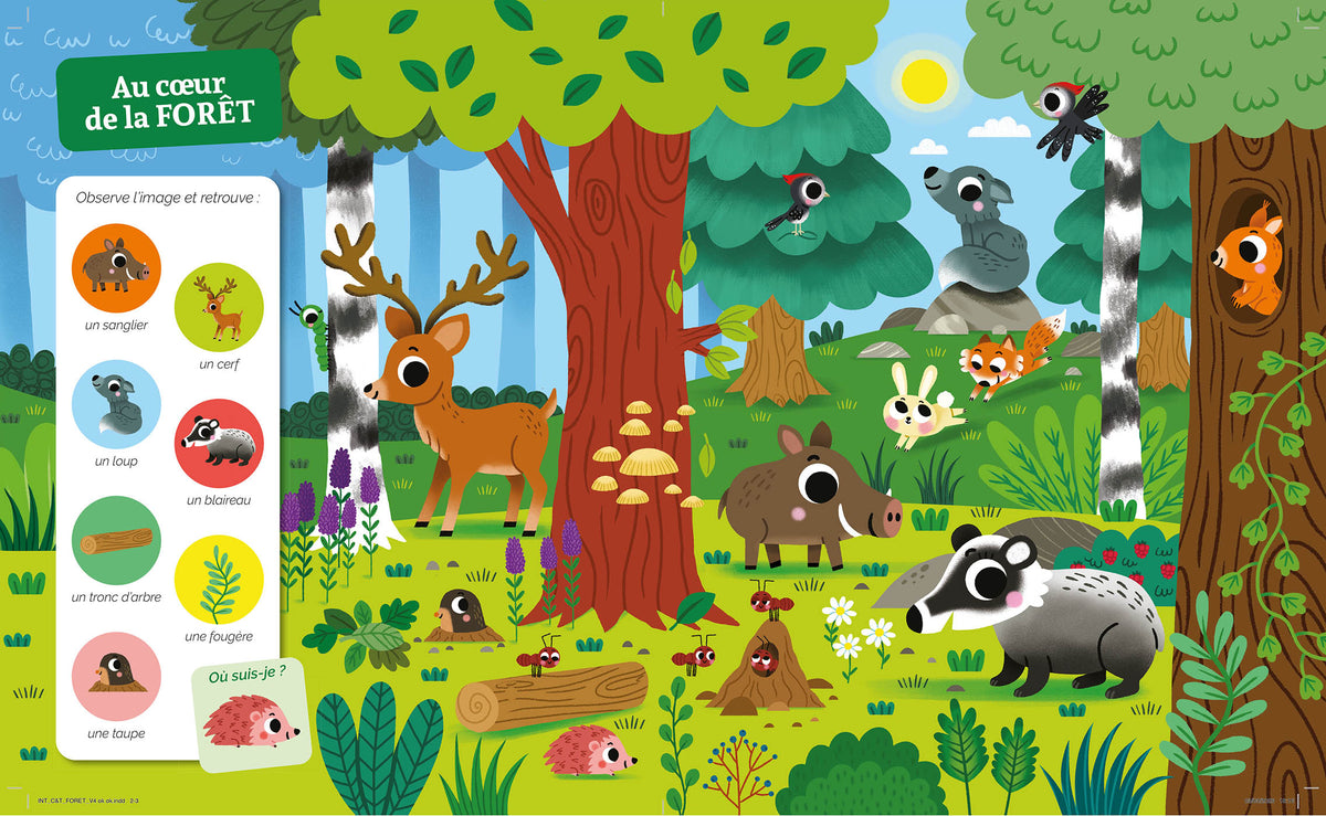 Cherche et trouve des tout-petits – Dans la forêt – Auzou