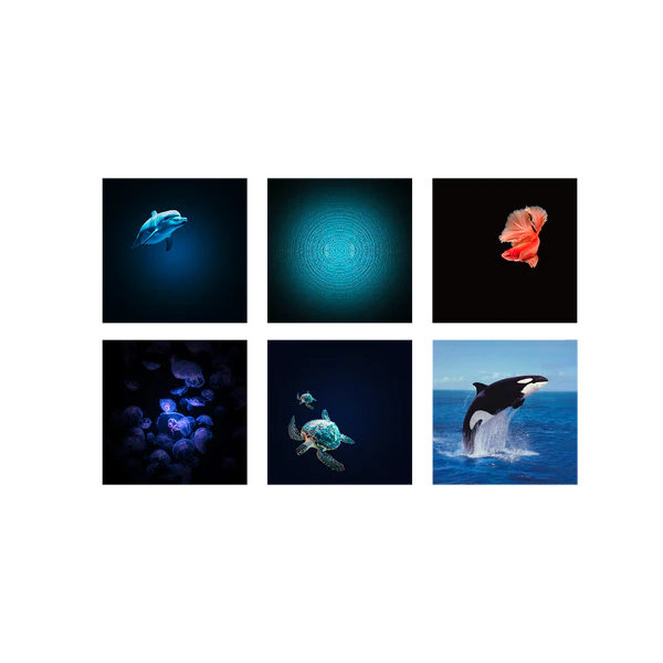 KIDYSTAR Lampe Projecteur ocean kidywolf