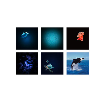 KIDYSTAR Lampe Projecteur ocean kidywolf