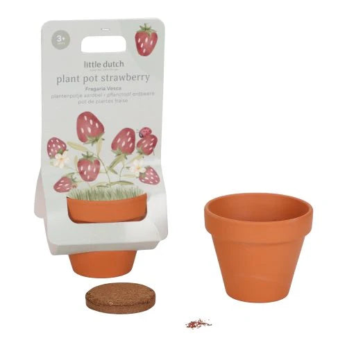 Kit de plantation - Fraises - Little Dutch