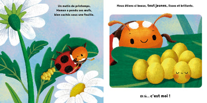 La petite coccinelle - 1,2,3 Soleil