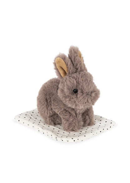 Prenez soin des animaux- Lapin - Konges Sløjd