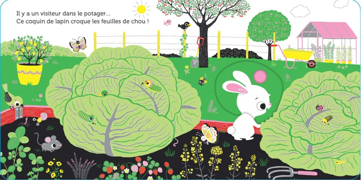 Promenade au potager - livre d'éveil animé, pour les bébés dès 6 mois - Nathan
