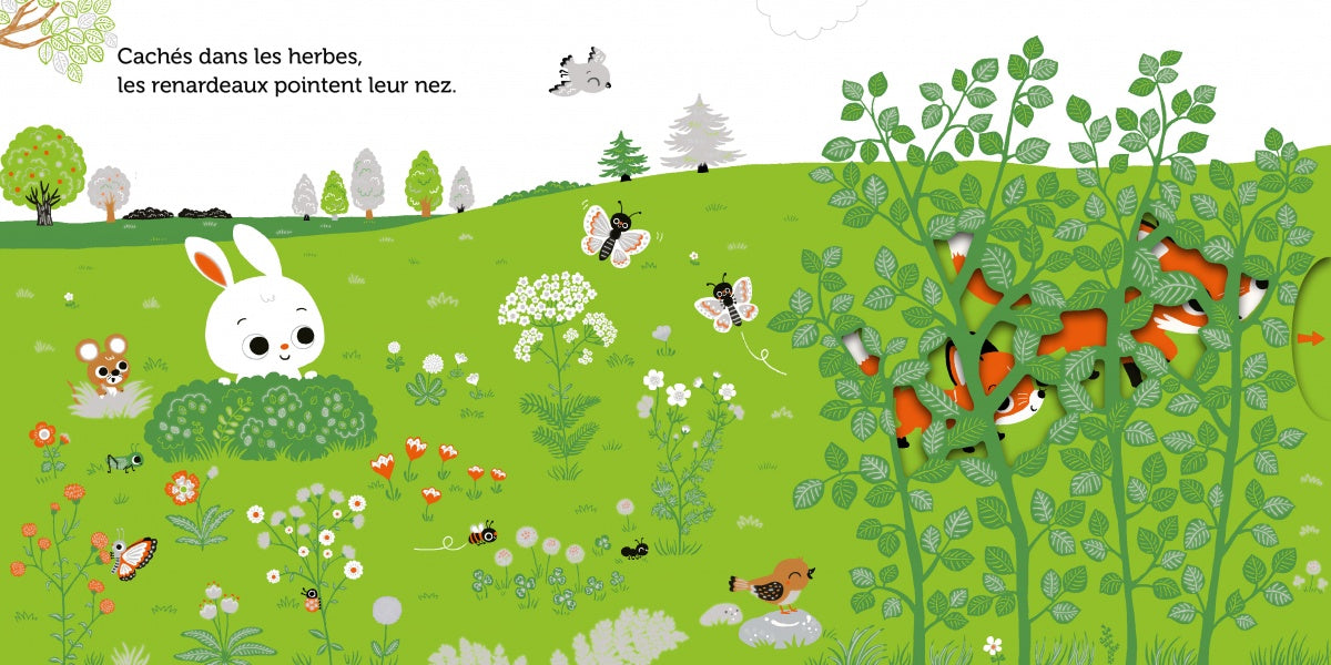 Promenade dans les prés - livre d'éveil animé, pour les bébés dès 6 mois - Nathan
