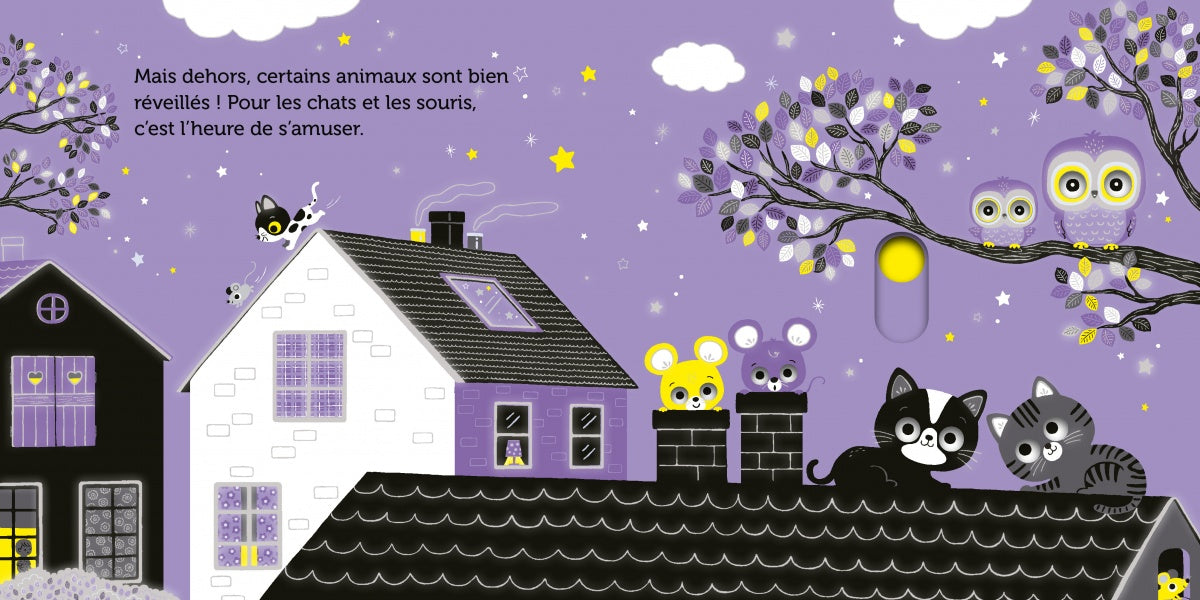 Promenade sous les étoiles - livre d'éveil animé, pour les bébés dès 6 mois - Nathan