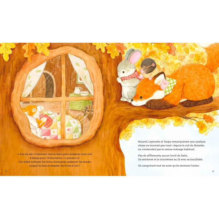 Automne Câlin - Livre Sassi