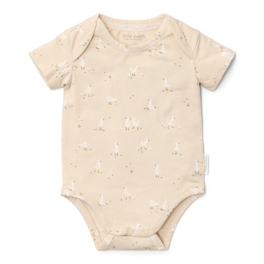 Body manches courtes - Little Goose - 62