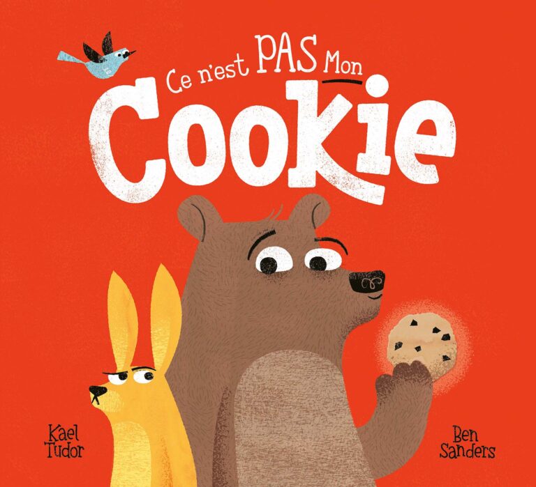 Ce n’est pas mon cookie - 123 soleil