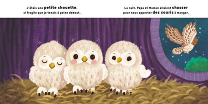 La petite Chouette - Cycles Naturels - 123 Soleil