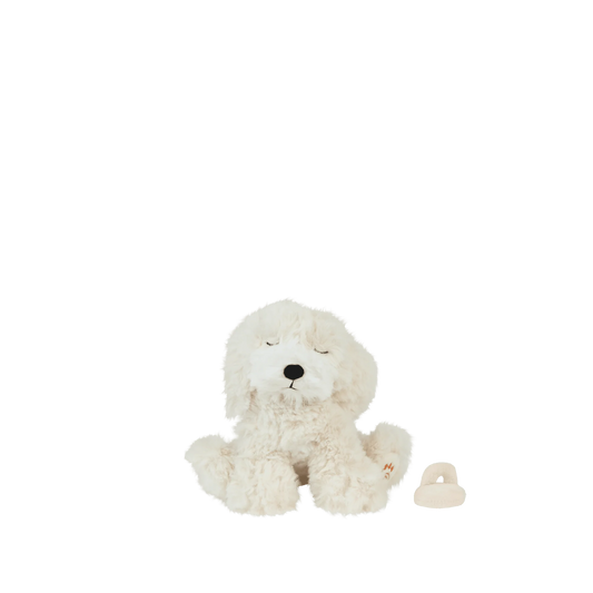 Chiot - Olli Ella - Belle