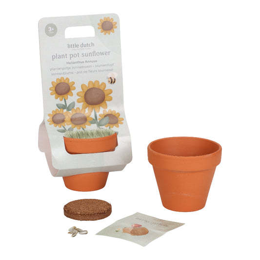 Kit de plantation - Tournesol - Little Dutch