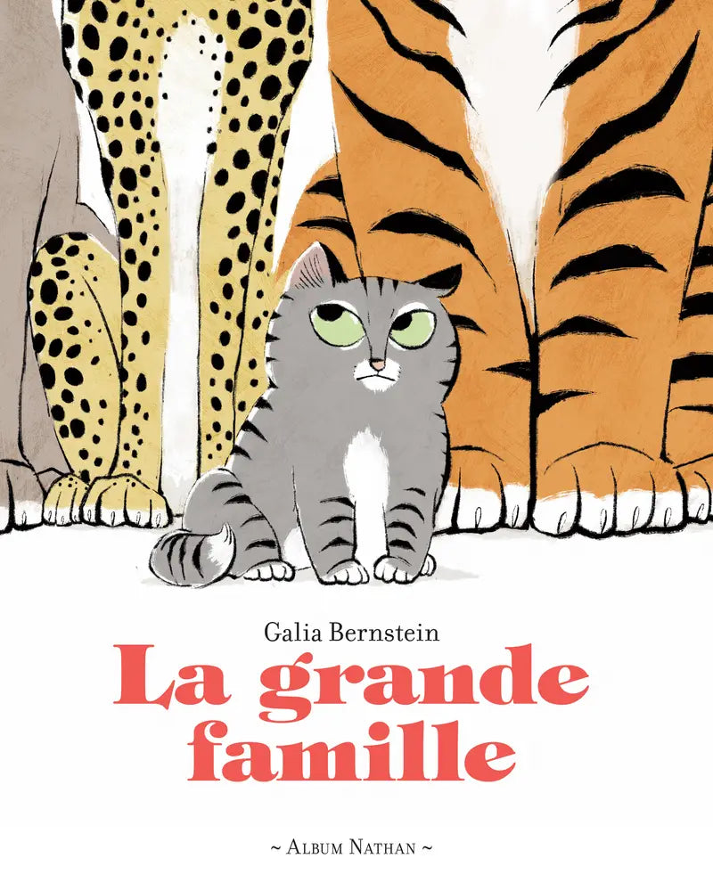 La grande famille - Un livre drôle sur le thème de l'identité et de la différence - Livre Nathan