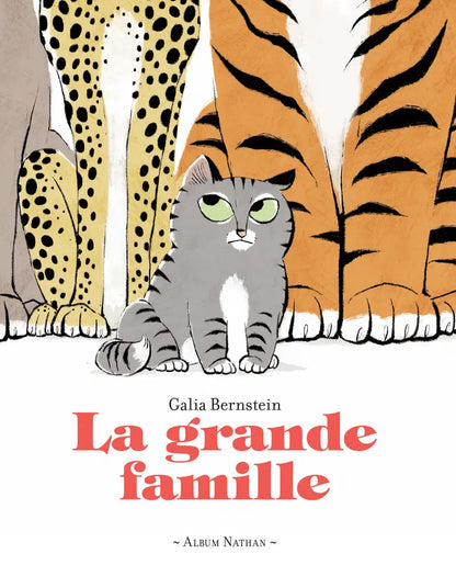 La grande famille - Un livre drôle sur le thème de l'identité et de la différence - Livre Nathan