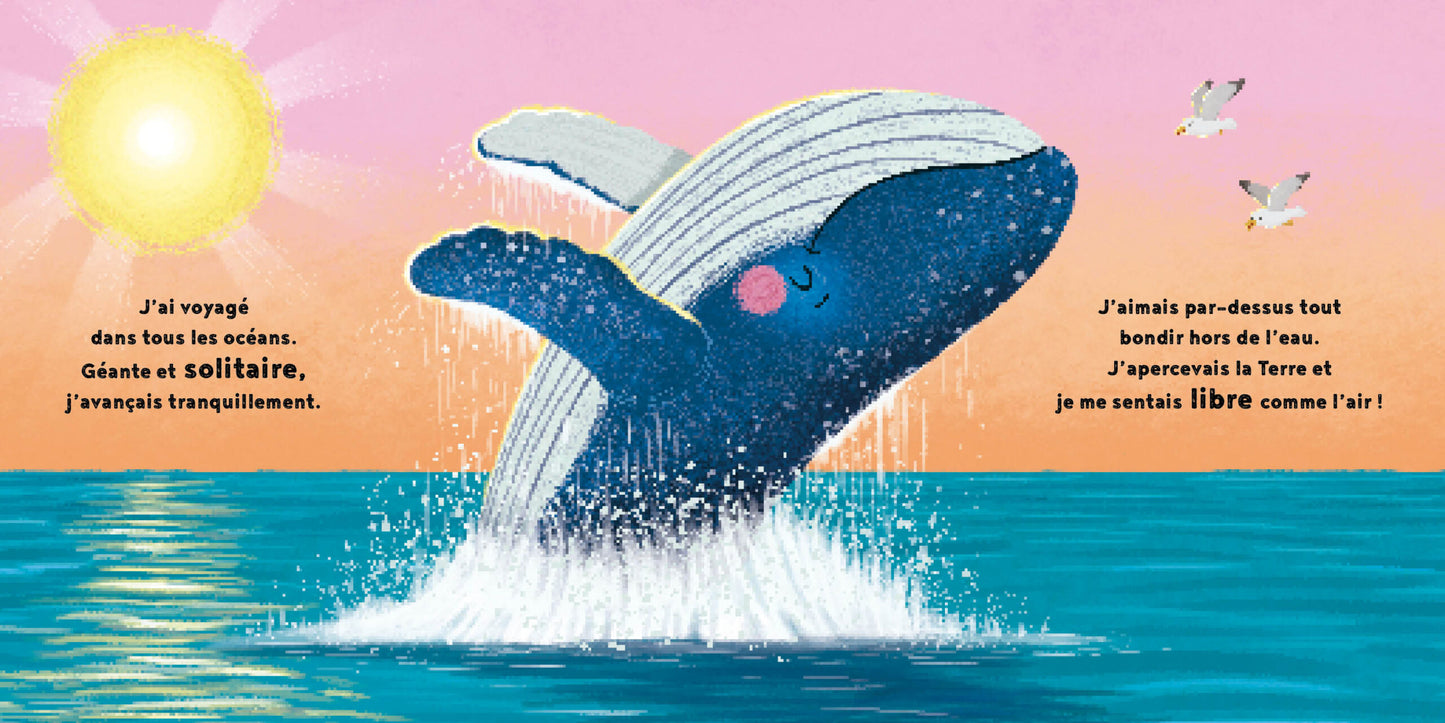 La petite baleine - Cycle naturel - 123 soleil