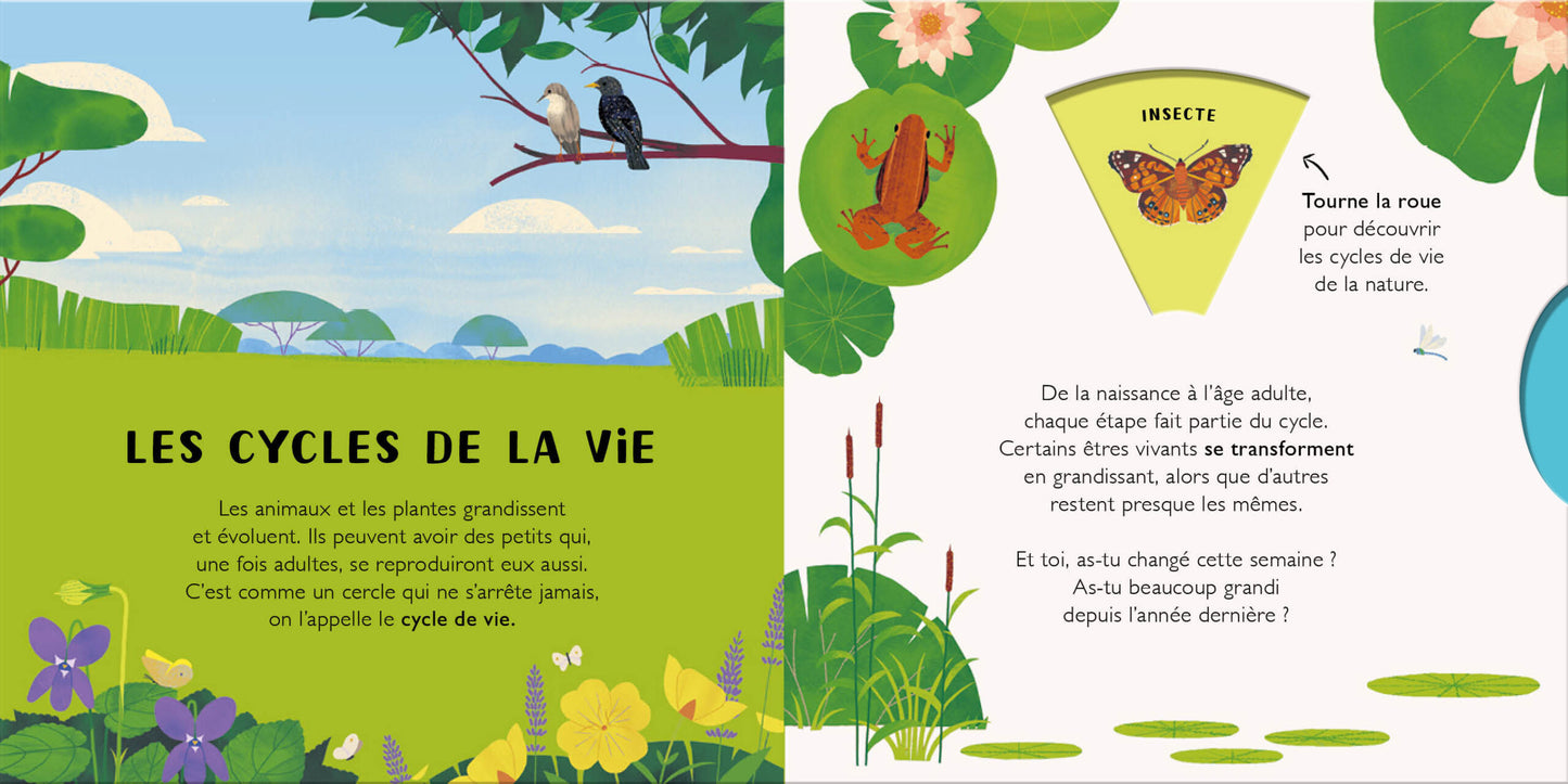 Les cycles de la vie – Animaux et plantes - 123 soleil
