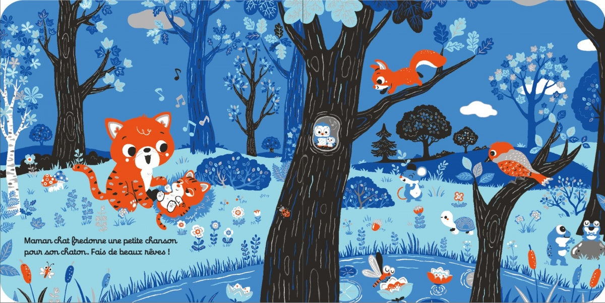 Bonsoir les bébés animaux - une histoire tendre pour bébé dès 6 mois - Nathan