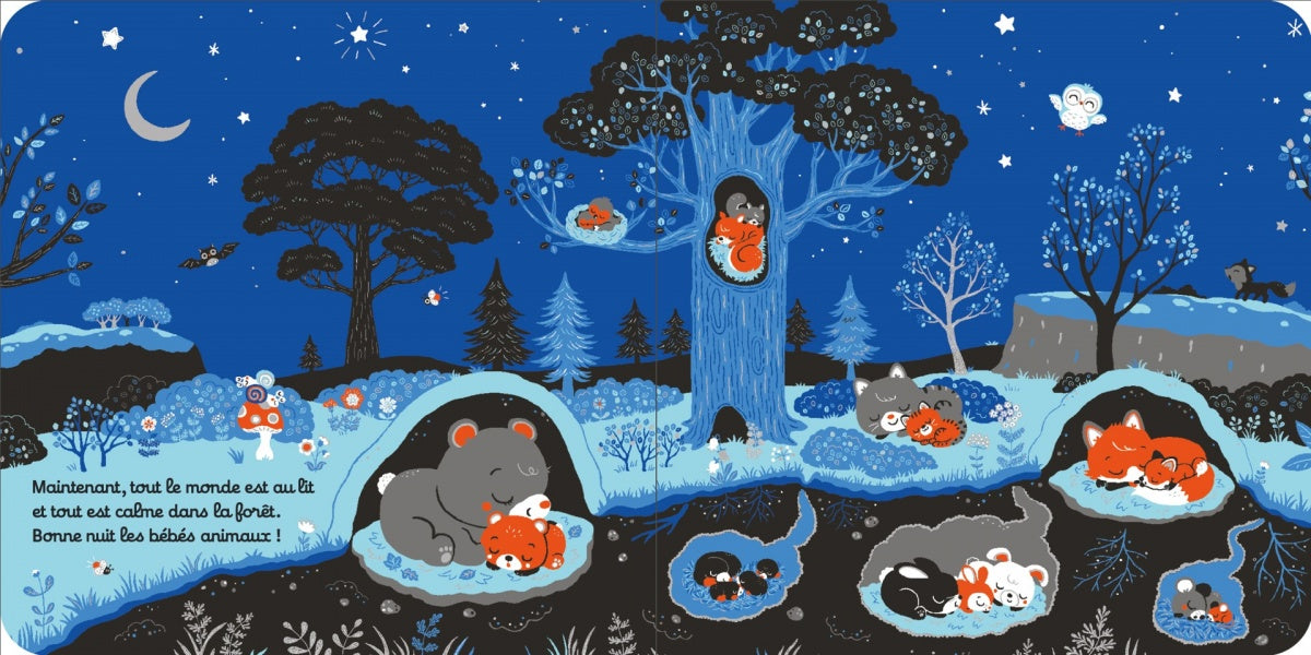 Bonsoir les bébés animaux - une histoire tendre pour bébé dès 6 mois - Nathan