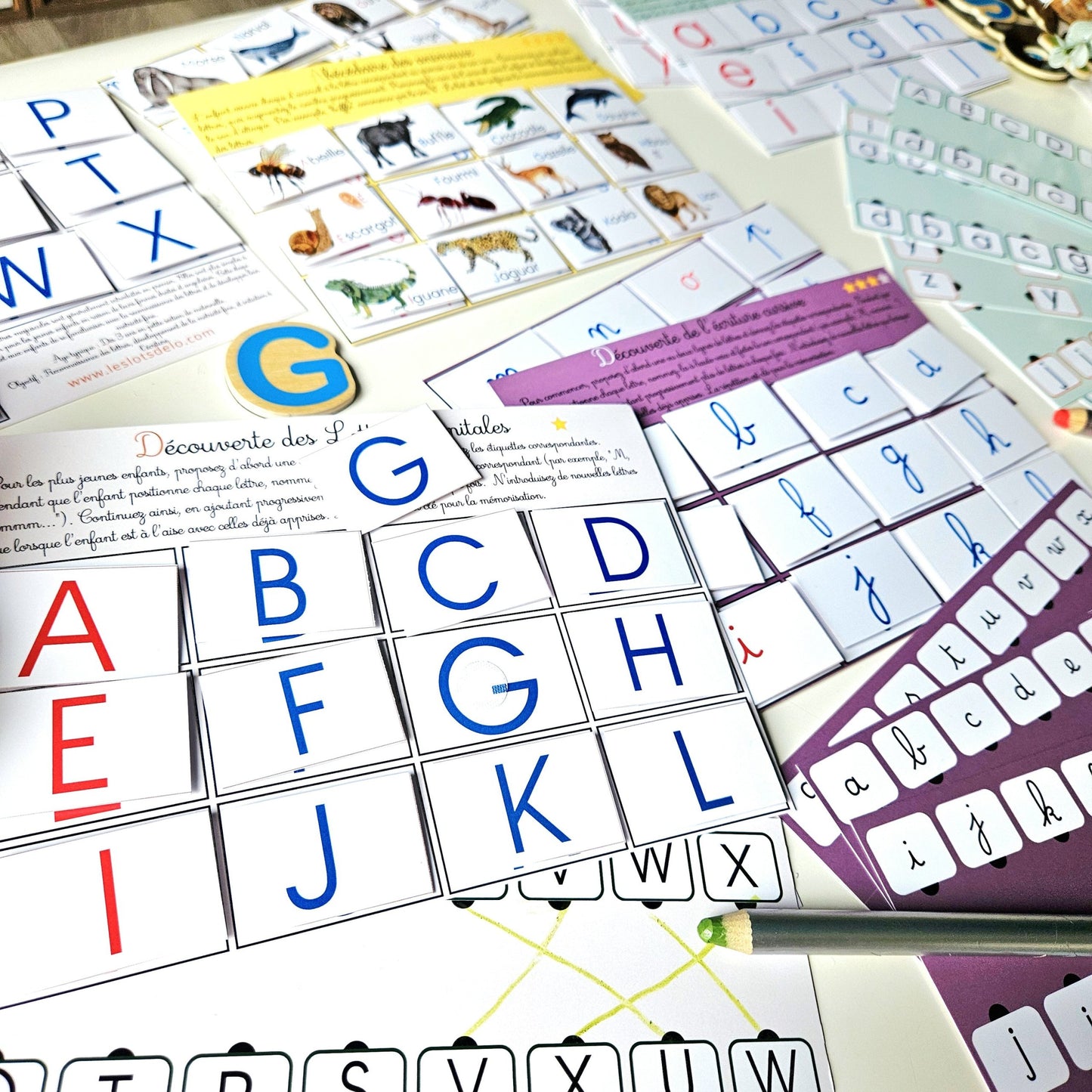 Lotos de l'alphabet - Kit Capitale -  Les lots d'Elo