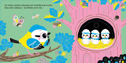 Promenade avec petite mésange - Pour partir à la découverte du jardin - dès 6 mois - Nathan