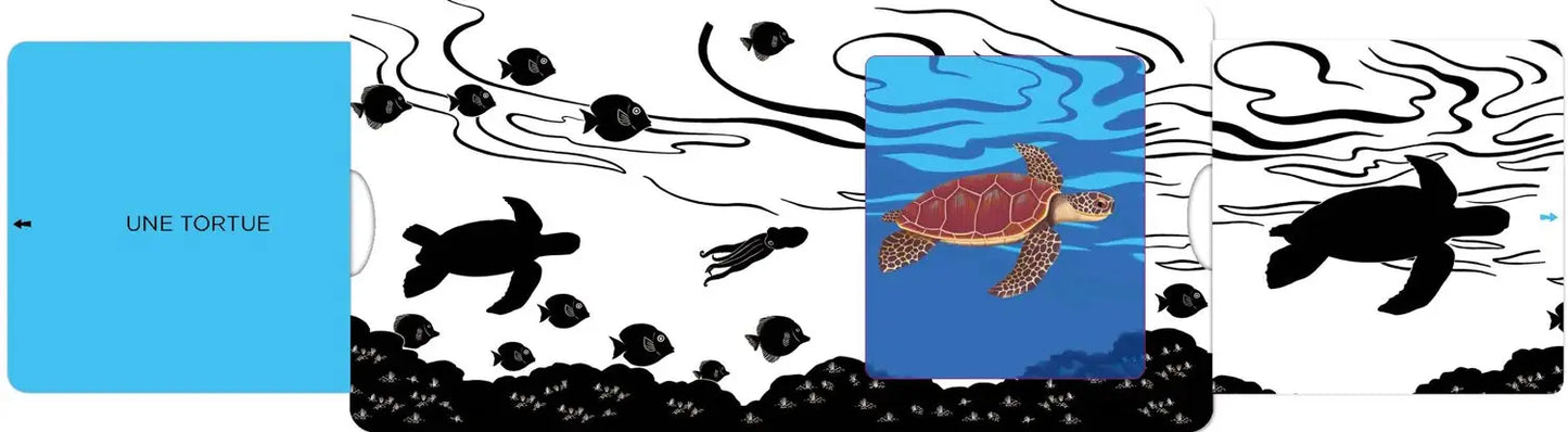 La mer - Un livre en noir et blanc qui passe en couleurs grâce aux animations - Dès 6 mois - Nathan