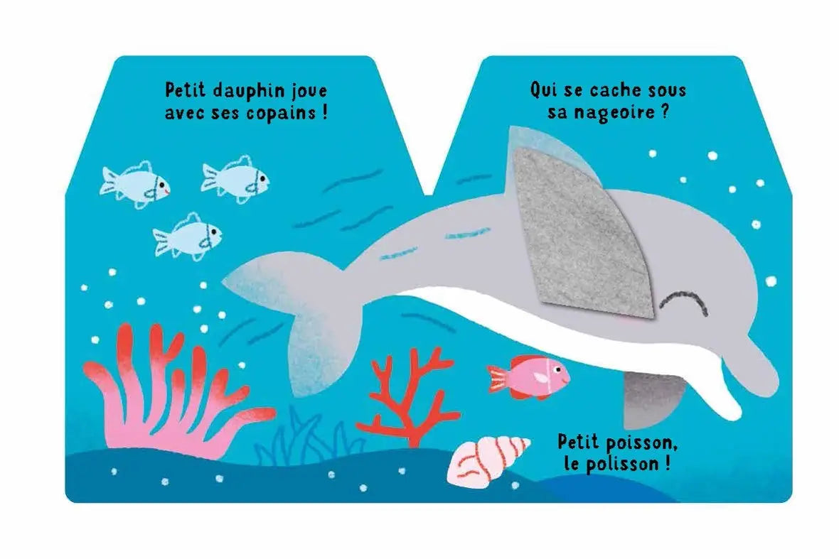 Cache-cache petit dauphin – Livre à rabats en feutrine dès 6 mois – Nathan