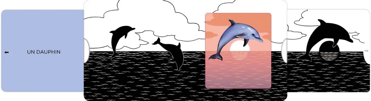 La mer - Un livre en noir et blanc qui passe en couleurs grâce aux animations - Dès 6 mois - Nathan