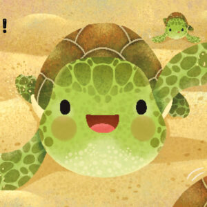 La petite tortue - 1,2,3 Soleil