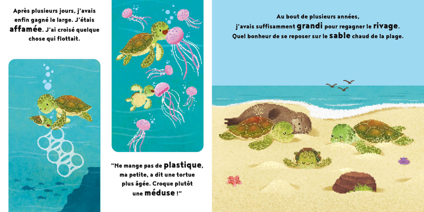 La petite tortue - 1,2,3 Soleil