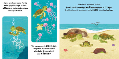 La petite tortue - 1,2,3 Soleil
