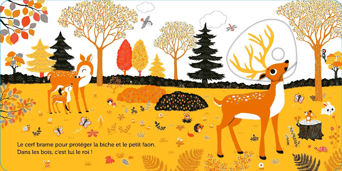 Promenade dans les bois - livre d'éveil animé, pour les bébés dès 6 mois
